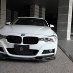 F3010