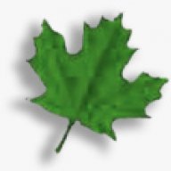 MapleLeaf